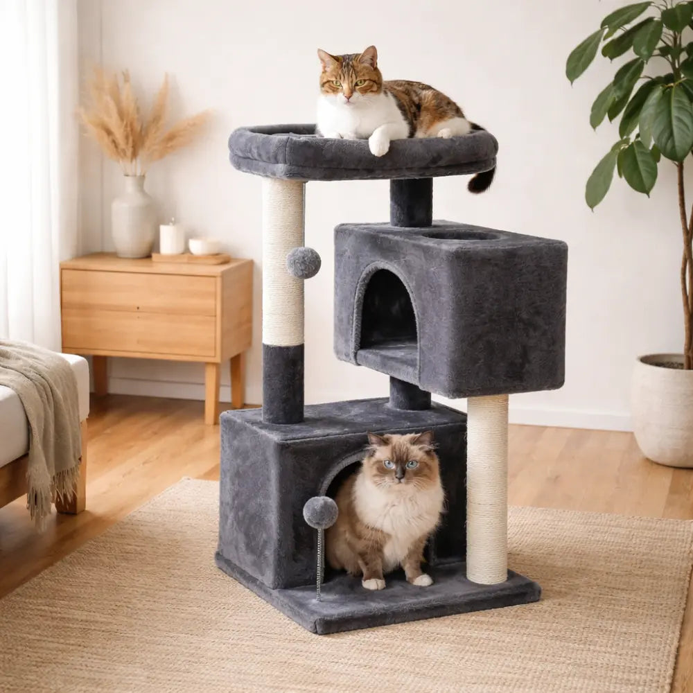 Petit arbre à chat multi-niveaux avec perchoirs et griffoirs | CASA™