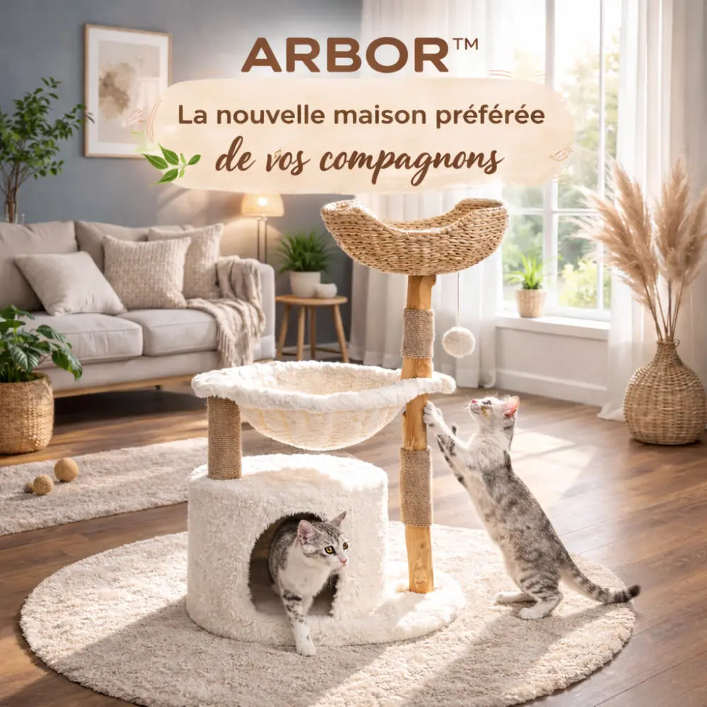 Arbre à chat en bois avec panier en rotin et hamac | ARBOR™
