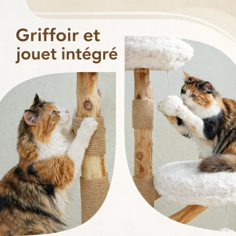 Petit arbre à chat en bois design avec griffoir | BLOOM™