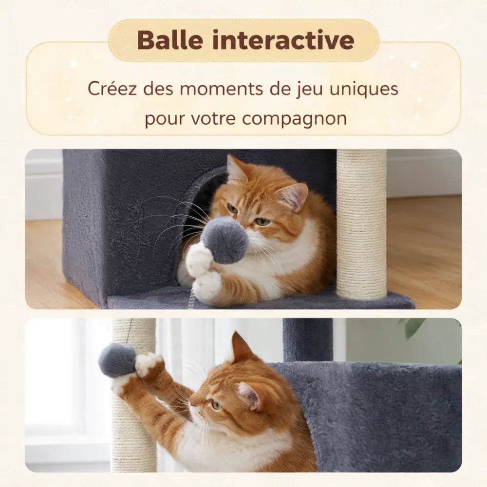 Petit arbre à chat multi-niveaux avec perchoirs et griffoirs | CASA™