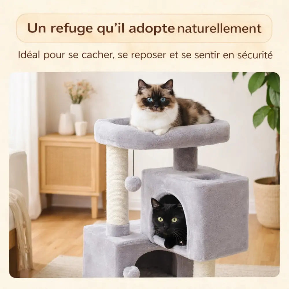 Petit arbre à chat multi-niveaux avec perchoirs et griffoirs | CASA™