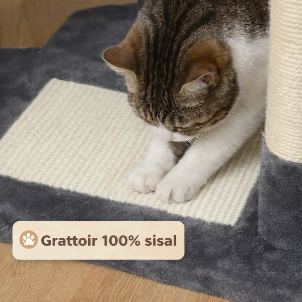 Arbre à chat avec hamac, niches et griffoirs | HAVEN™