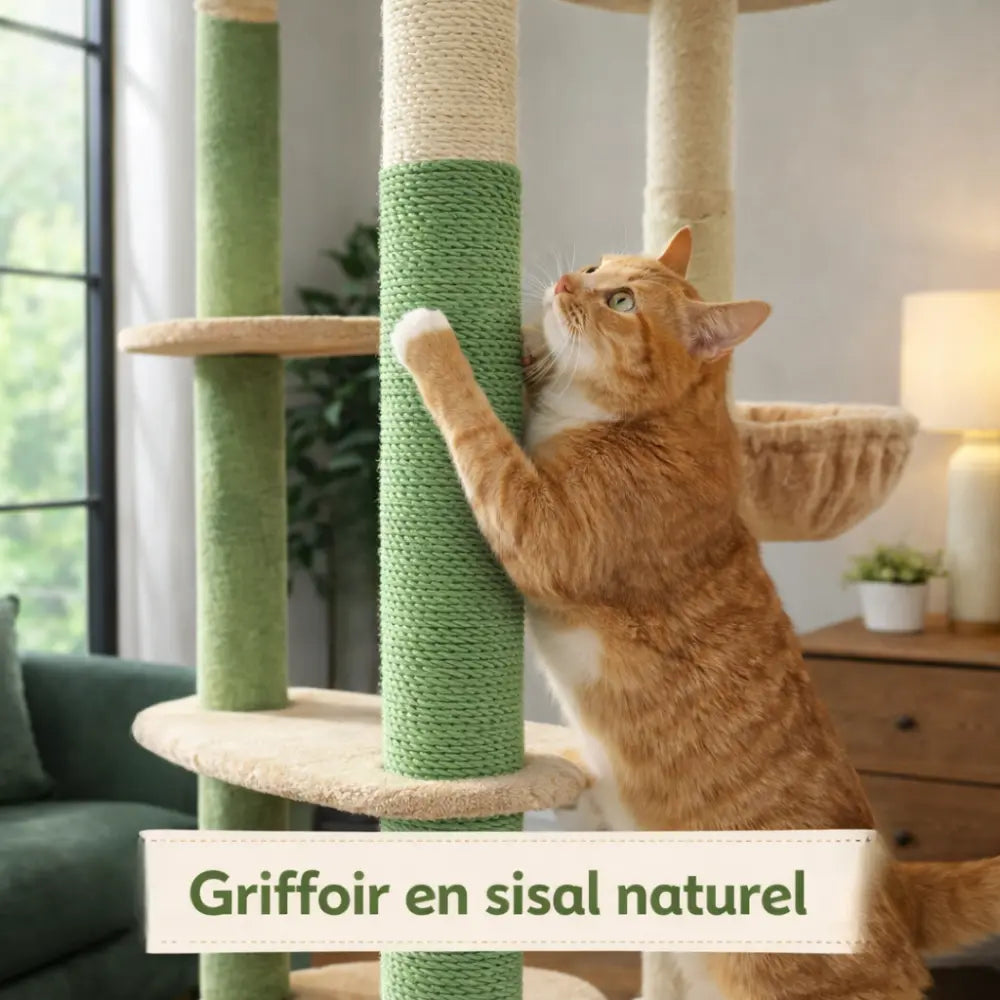 Arbre à chat XXL sol plafond réglable avec hamacs | VERTIGO™