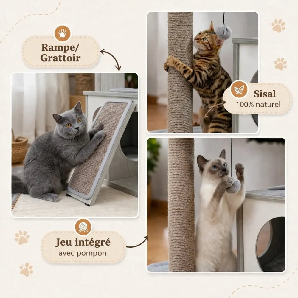 Arbre à chat bois avec niches, griffoirs et plateforme | CUBY™