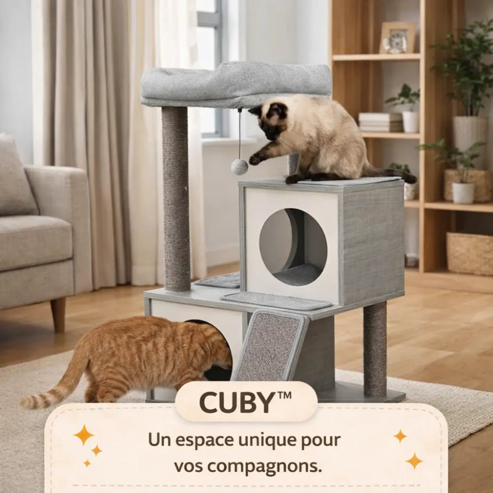 Arbre à chat bois avec niches, griffoirs et plateforme | CUBY™