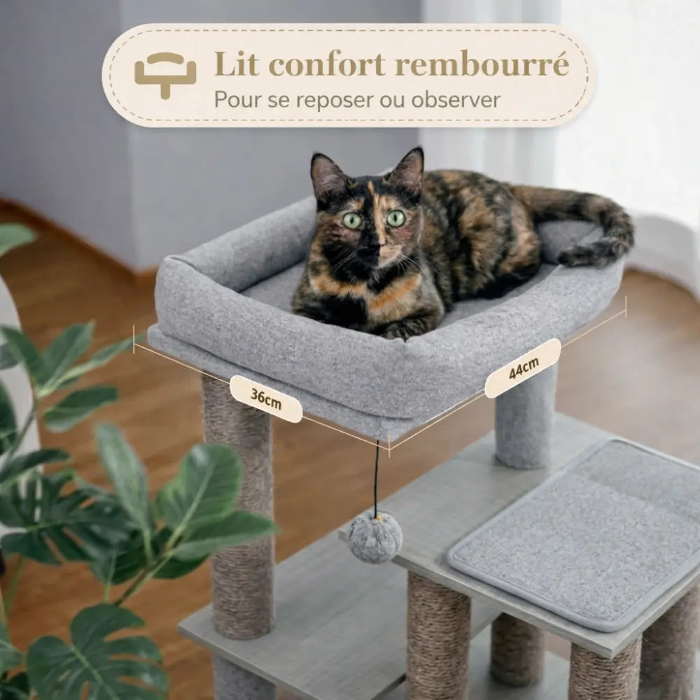 Arbre à chat bois avec niches, griffoirs et plateforme | CUBY™
