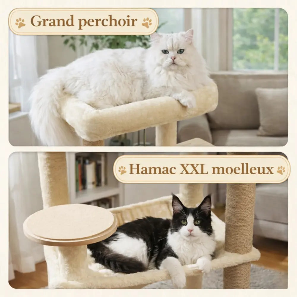 Arbre à chat bois avec hamac et condo fermé | FORESTA™