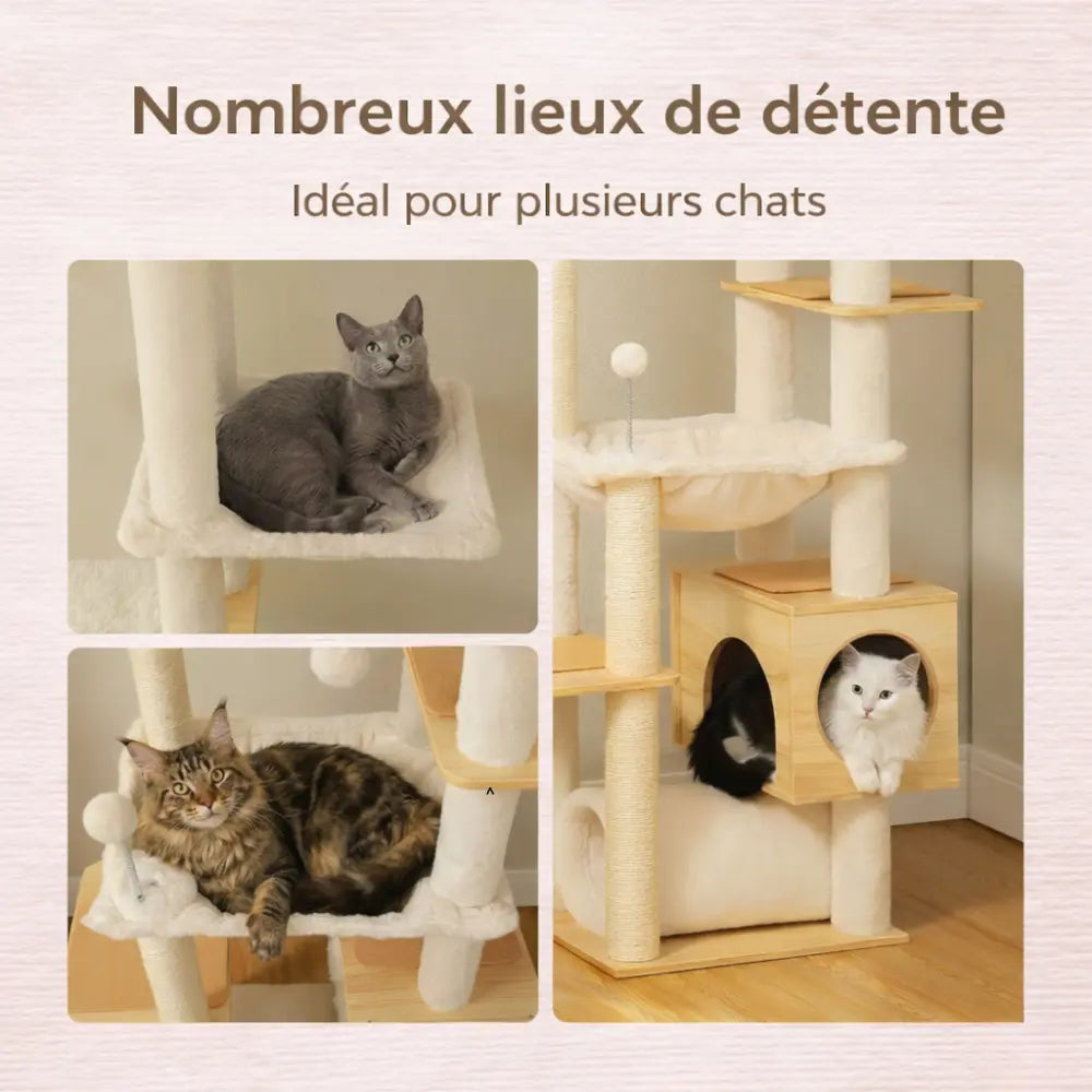 Arbre à chat bois réglable sol plafond avec hamac | NEXUS™