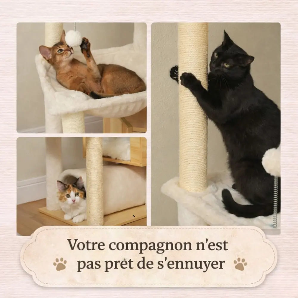 Arbre à chat bois réglable sol plafond avec hamac | NEXUS™