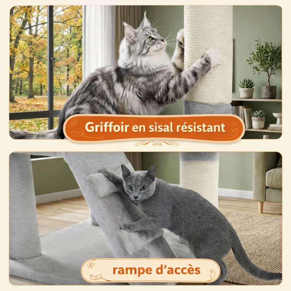 Arbre à chat en bois avec condo XXL et hamac | VELTO™