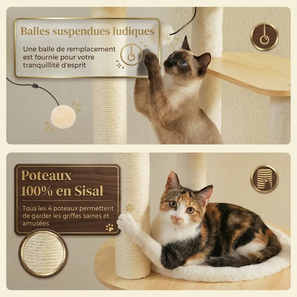 Arbre à chat bois avec hamacs suspendus et niches | LUMIA™