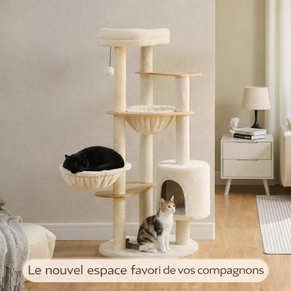 Arbre à chat bois avec hamacs suspendus et niches | LUMIA™