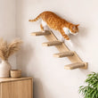Étagère murale chat escalier en bois avec corde de jute | NIMBO