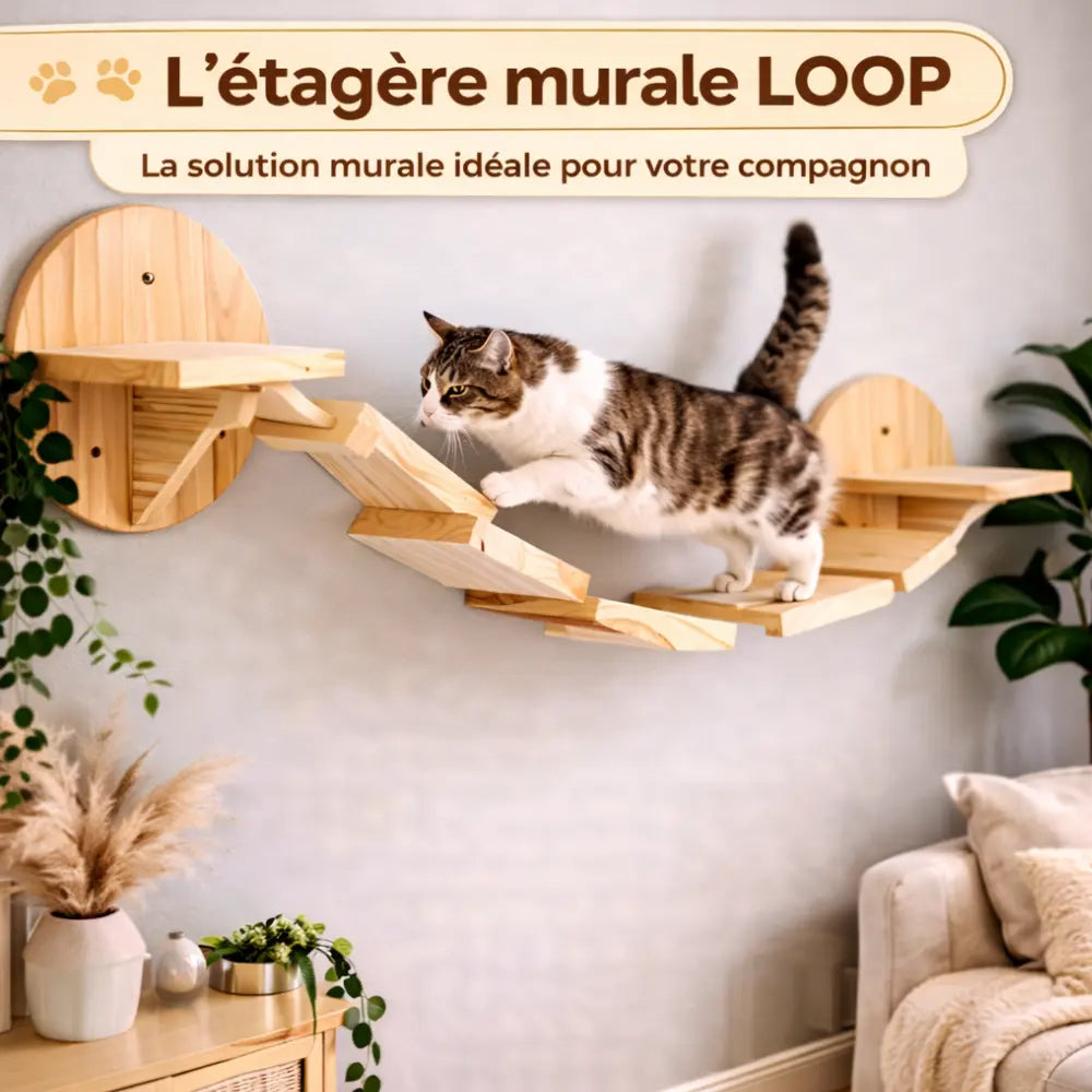 Étagère murale pour chat en bois avec pont suspendu | LOOP