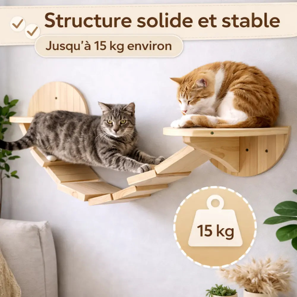 Étagère murale pour chat en bois avec pont suspendu | LOOP