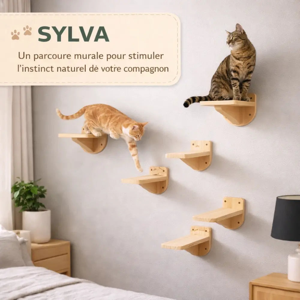 Étagères murales en bois modulable pour chat 5 pièces | SYLVA