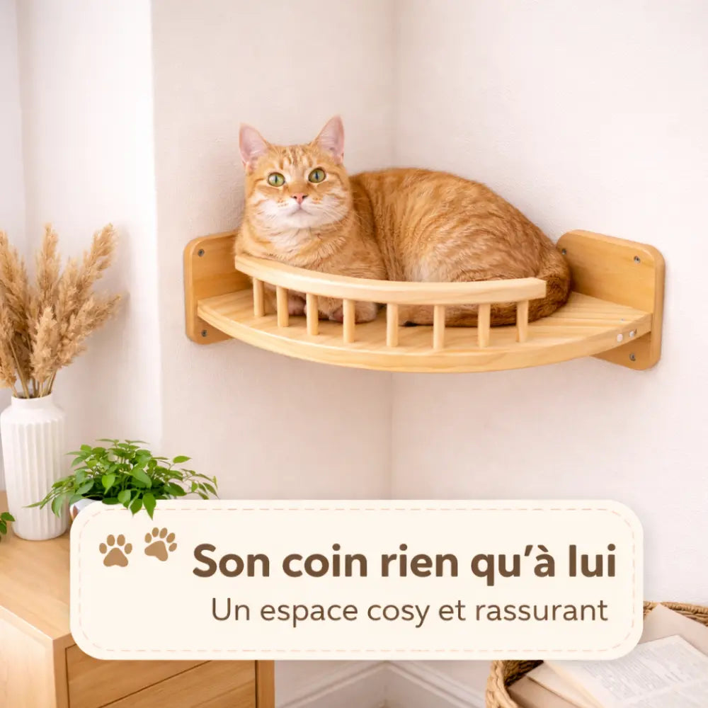 Étagère murale d’angle pour chat en bois avec rebords | LOOP ANGLE