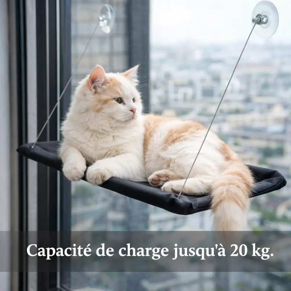 Hamac chat de fenêtre avec ventouses renforcées | SKY
