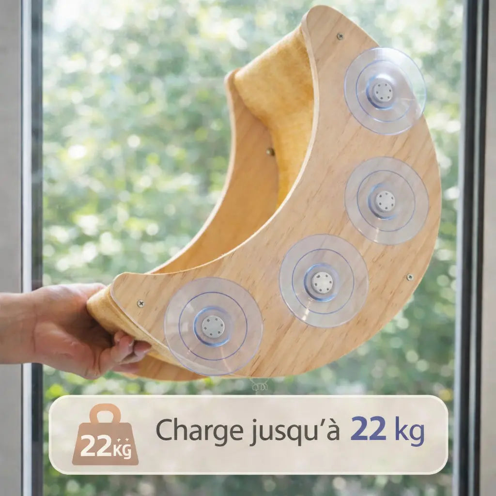 Hamac chat fenêtre courbé en bois design | ORION