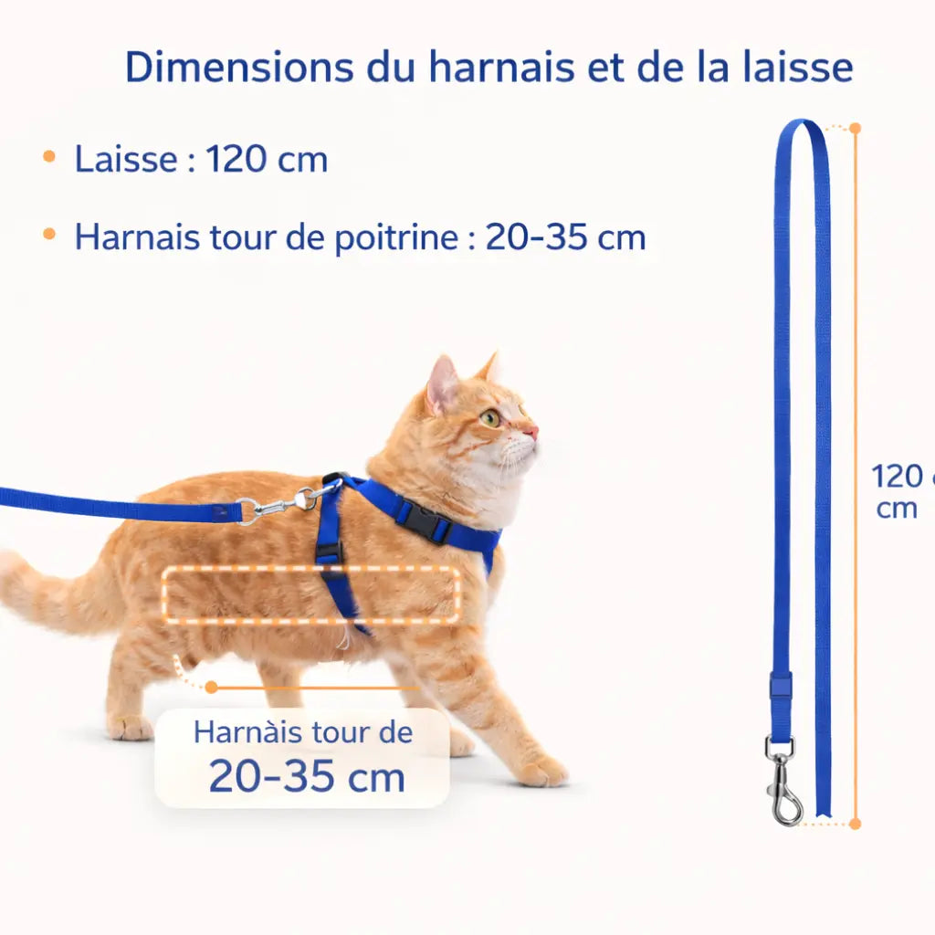 Harnais chat avec laisse – Essentiel ajustable | BASIC™