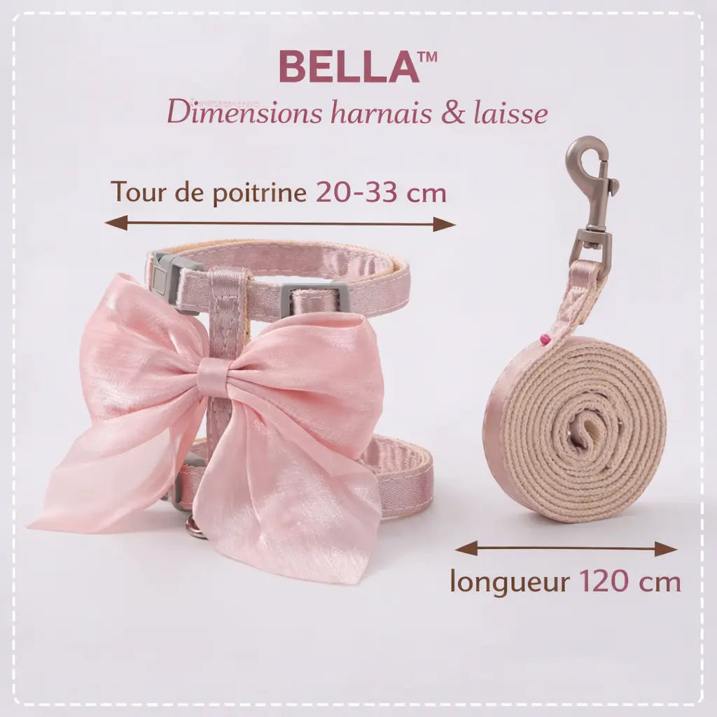 Harnais chat avec laisse et nœud papillon élégant | BELLA™