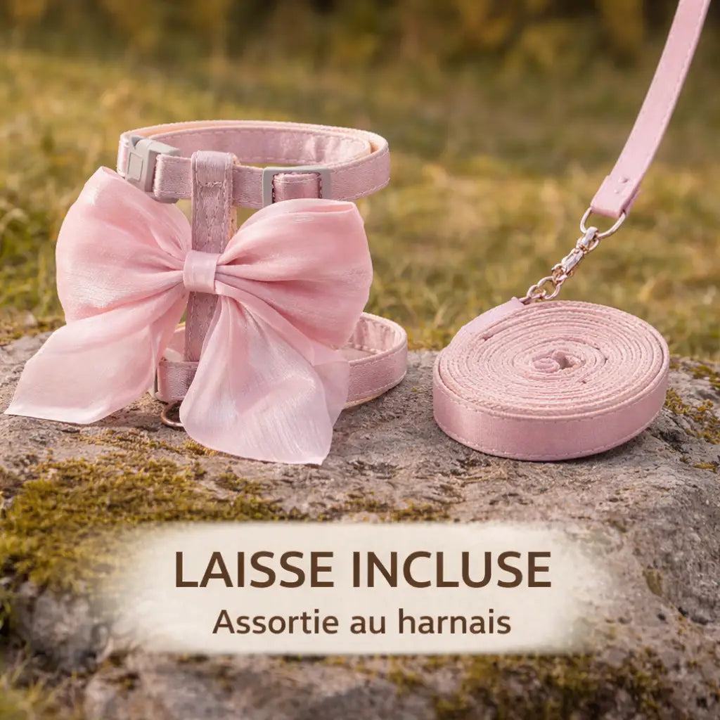 Harnais chat avec laisse et nœud papillon élégant | BELLA™
