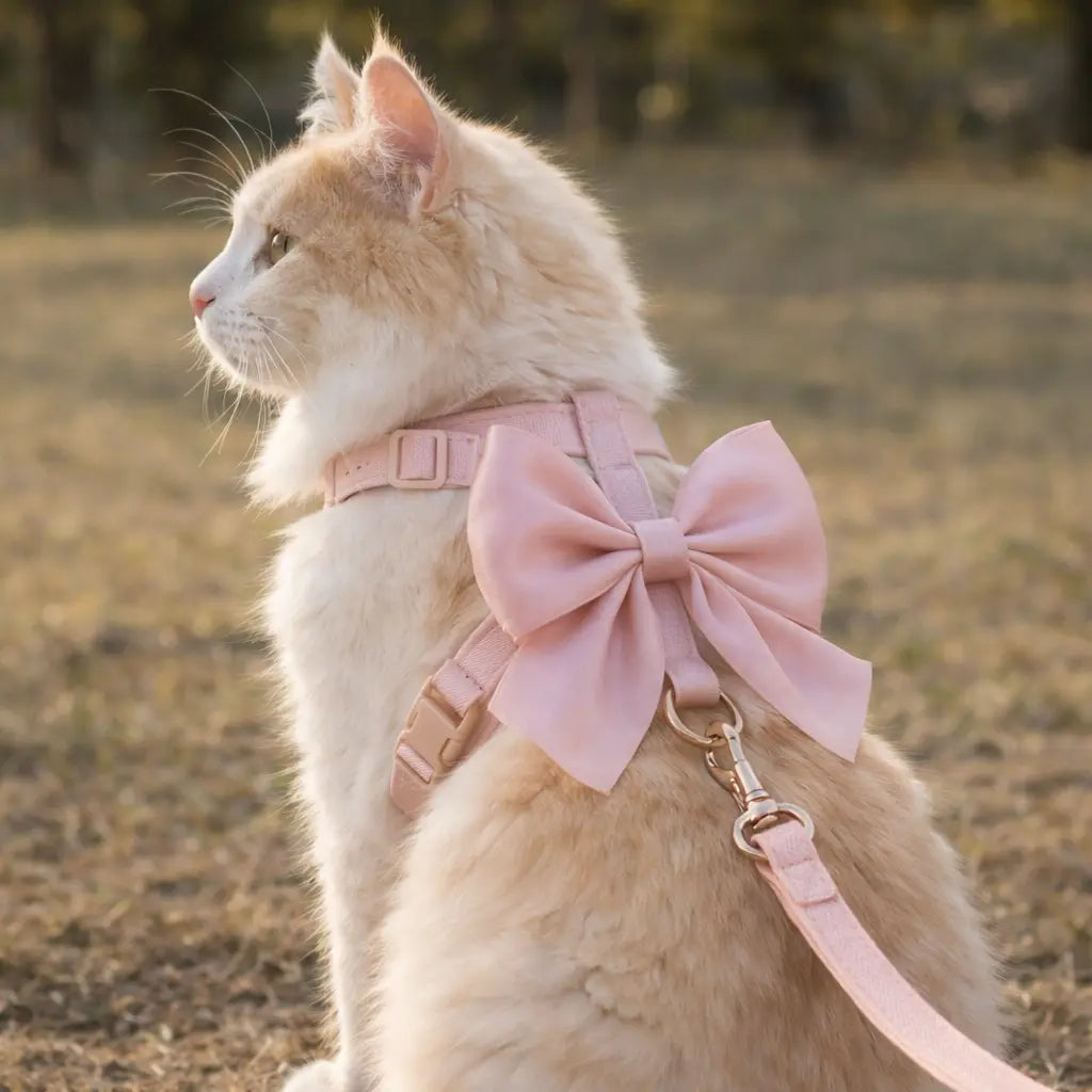 Harnais chat avec laisse et nœud papillon élégant | BELLA™