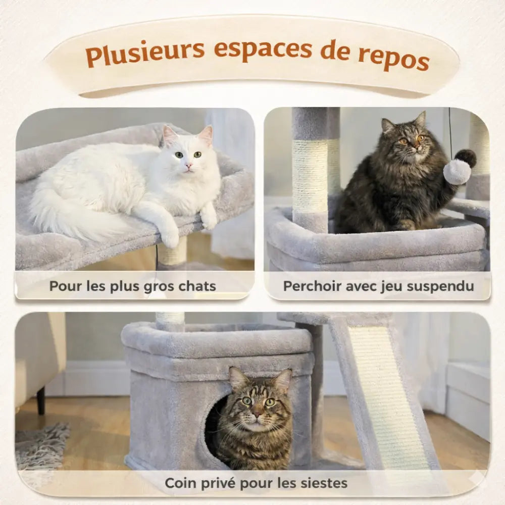 Petit arbre à chat avec rampe et plateforme XL | CLIMB™