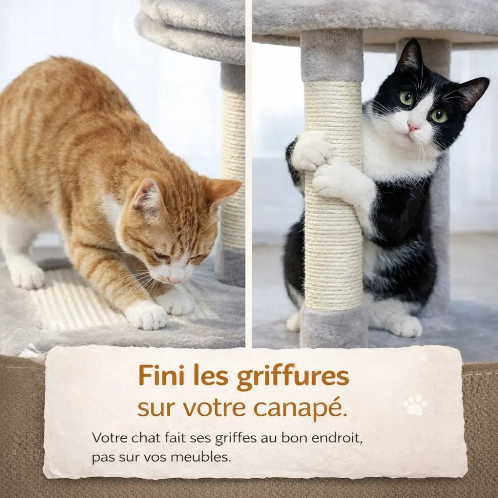 Petit arbre à chat en bois avec hamac, niche et griffoirs | NIDO™