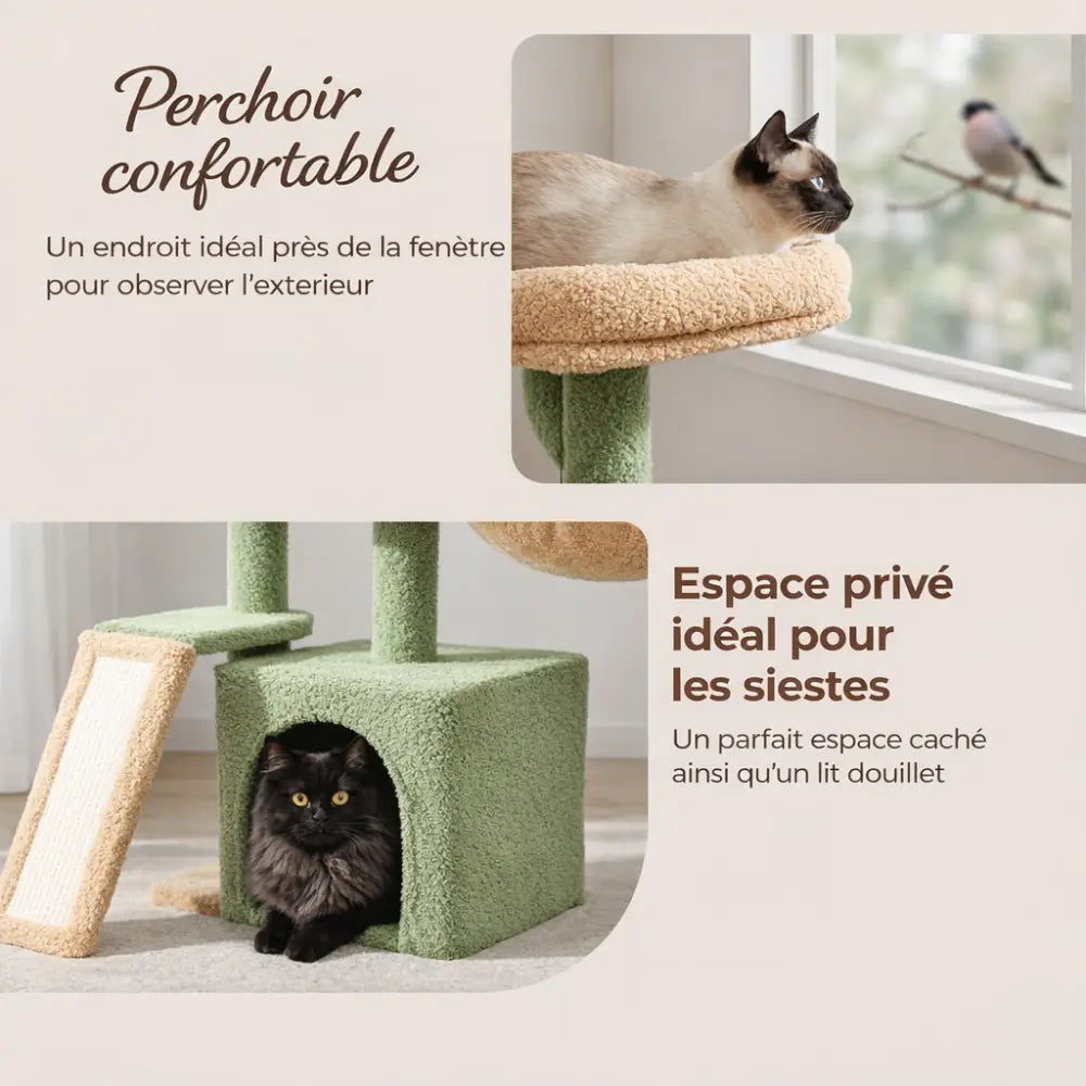 Petit arbre à chat design avec niche et hamac | VERDA™