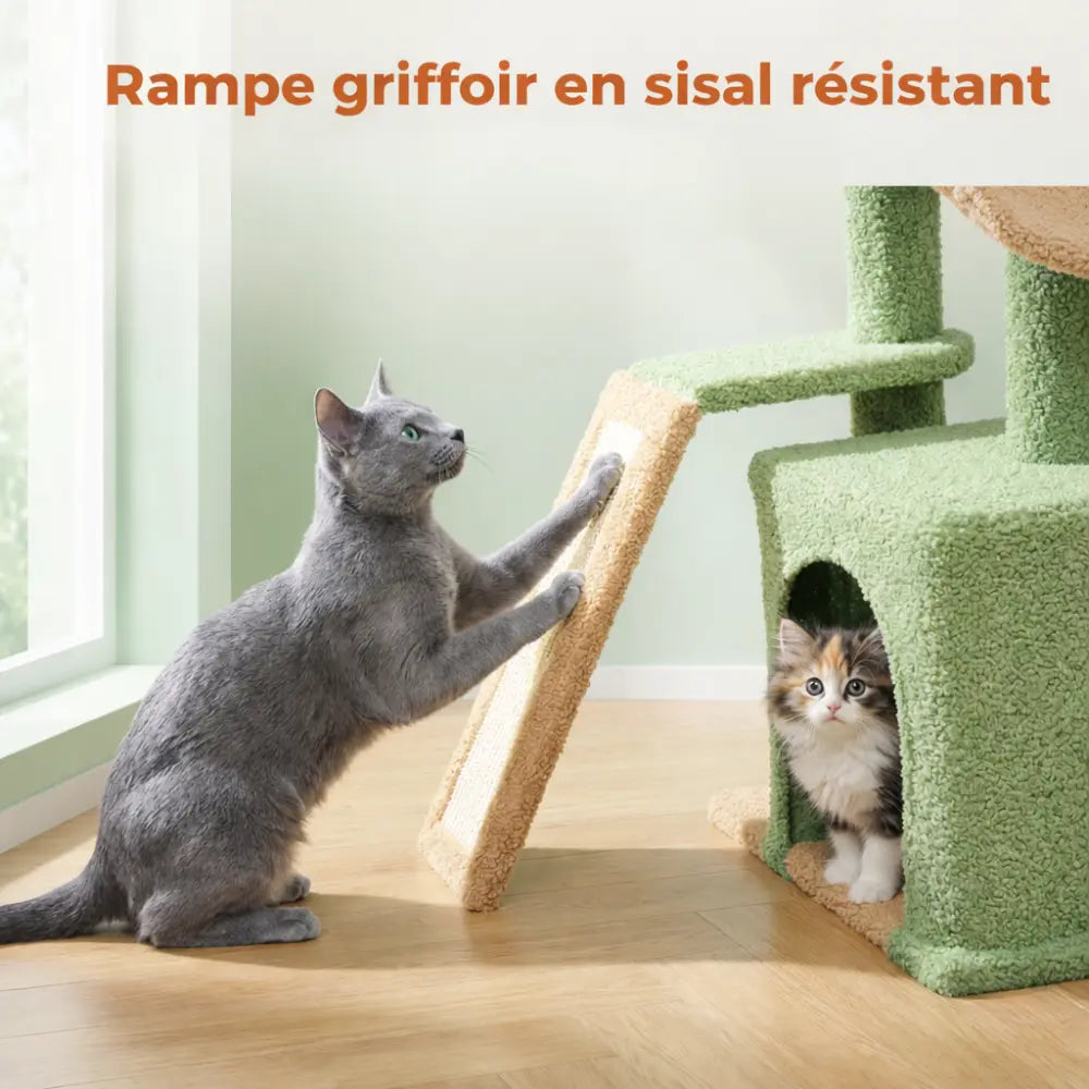 Petit arbre à chat design avec niche et hamac | VERDA™