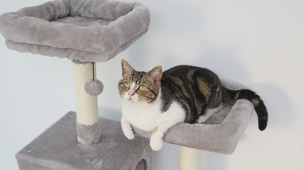 Arbre à chat avec hamac, niches et griffoirs | HAVEN™