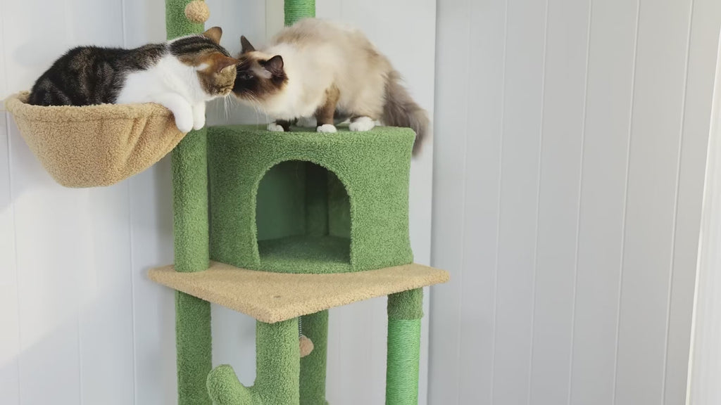 Arbre à chat XXL sol plafond réglable avec hamacs | VERTIGO™