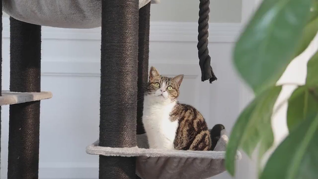 Arbre à chat XXL avec hamacs et griffoir sisal | TOWER™